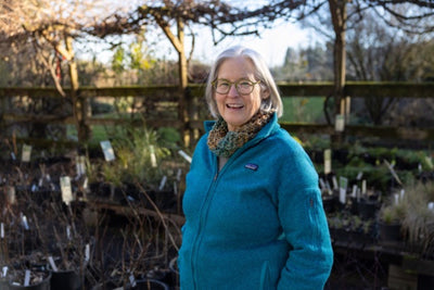 Jane Hartline's Faves