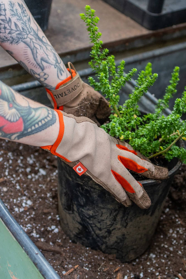 Woman wearing Light Kodiak Multi-Purpose Work Gloves by Dovetail Workwear while planting green seedlings, showing the glove's touchscreen-compatible design.