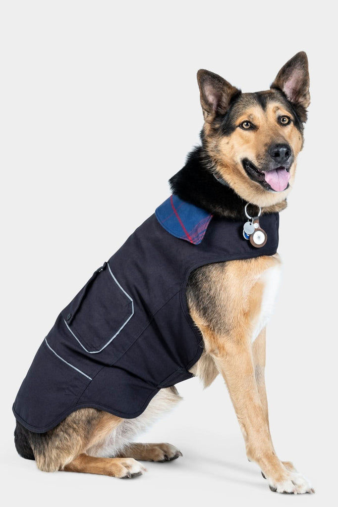 German Shepherd dog wearing the black Shop Dog Jacket with flannel collar and visible pockets, sitting against a white background
