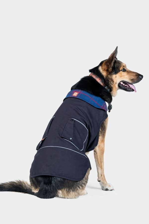 Black Shop Dog Jacket by Dovetail Workwear with navy fleece-lined collar, front pockets, and adjustable closures, shown on a German Shepherd from the side