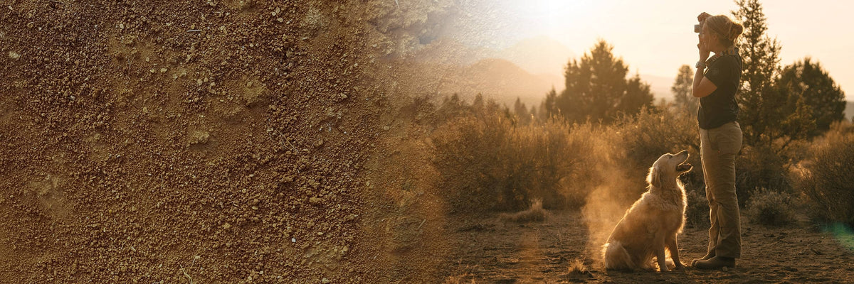 Hero Banner